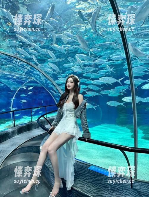 追着看91吃瓜app的黑料，好像连我自己都变得阴险了，哈哈。-愫弈琛