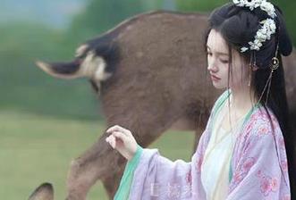 吃瓜网在线，朝阳的阳光照进了深夜八卦！