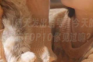 向天发出信号，今天的我要吃瓜发布TOP10你见过嘛？
