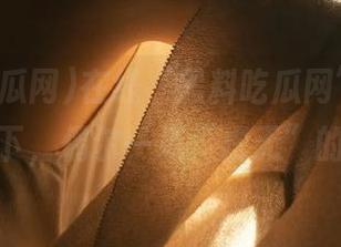 在线“黑料吃瓜网”网页，瓜田李下，偶尔一场“虚无”的戏码！