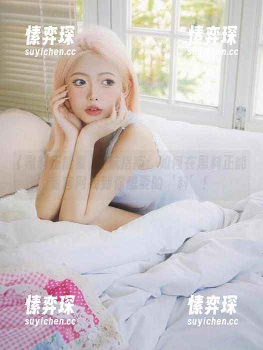 导航指南：如何在黑料正能量官网找到你想要的‘料’！-愫弈琛