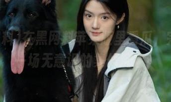 在黑网料苹果版里看瓜，完全是一场无意识的集体沉迷！